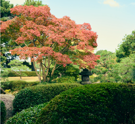 大濠公園イメージ